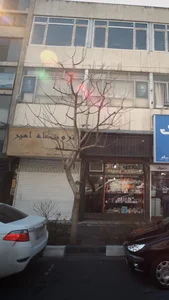موبایل امیر 2