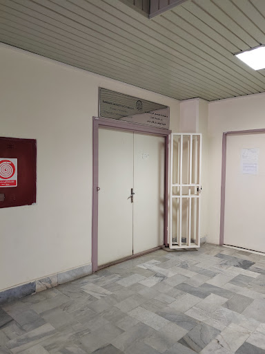 گروه زبان دانشگاه صنعتی امیرکبیر