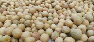 خرید و فروش لیمو خشک خرما آویشن بهار نارنج