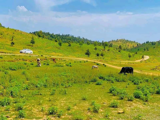 Afghanistan Khost City