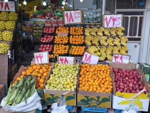 میوه فروشی سکه 2