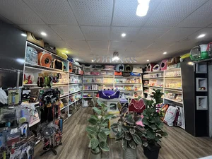 کلینیک دامپزشکی تیکا