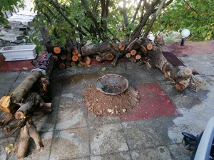 باغچه علیرضا لواسانی