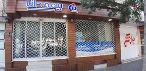 بیمه دانا