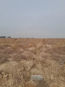 امام زاده خواجه زنده