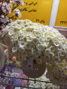 گلفروشی سنا 2