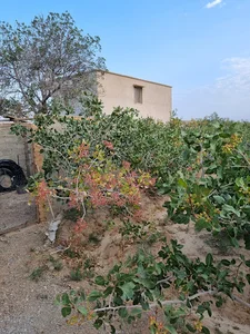 روستای محمد آباد