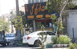 پیتزا تاج محل 2
