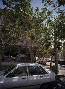 سوپر میوه بهار 4