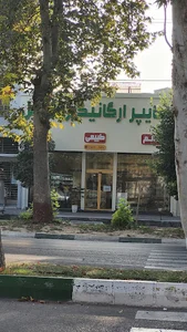 هایپر ارگانیک بابل
