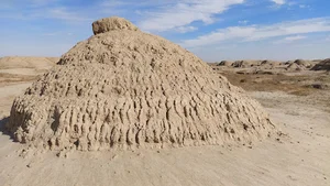 کلوت قوژد