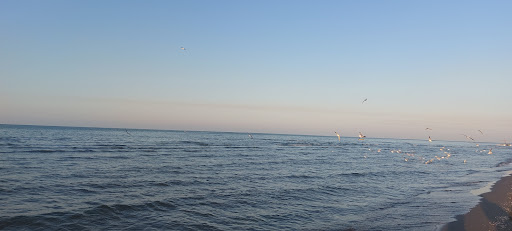 Mahmoud Abad Beach ساحل محمودآباد