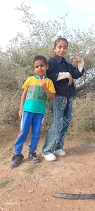 خیابان سی متری شاوور