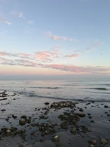 ساحل چالوس