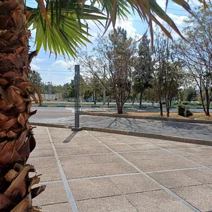 بوستان بانوان