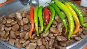باقالی شاپ ۱