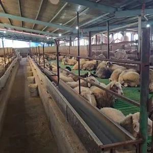 شرکت جهانکوب