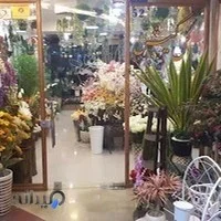 گل لیندا
