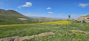 طبیعت لیقوان