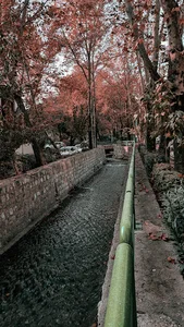 بوستان شهرزاد