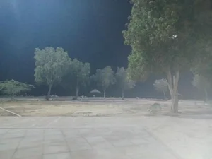 پارک ولایت 4