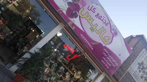 ساحل