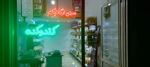ارگانیک سرای کندوکده