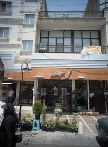 گل نیلوفر 2