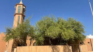 مسجد ربيعة بن كعب