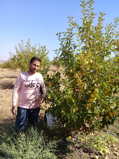 باغ الیاس اصلی