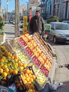 میوه فروشی هاوین