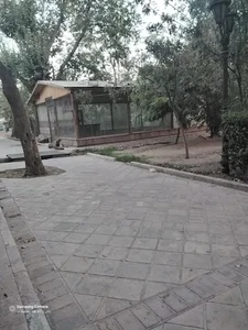 گلینکا پخش گلهای اپارتمانی 3