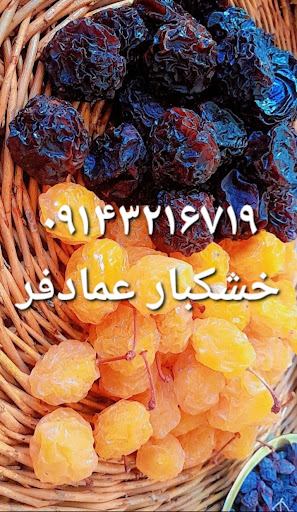 خشکبار عمادفر
