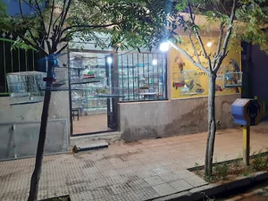 دنیای پرندگان
