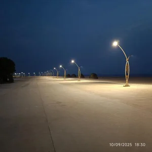 پارک آلسا (صف شکن)