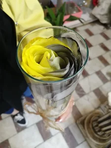 گل آی سو 3