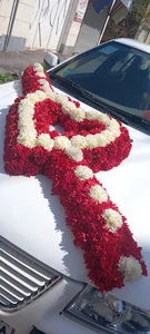 سالن زیبایی سرمه