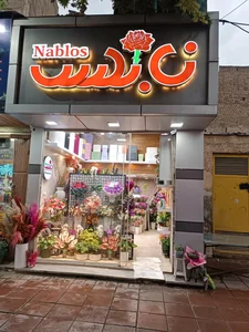 گل نابلس 4