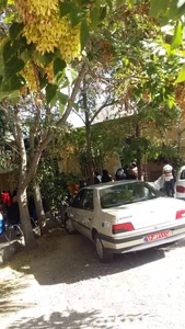 درمانگاه بنی شفیع 3