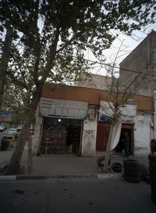 گل نرده کرمی 3