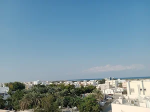 Rukn Madina ركن المدينة للتجارة