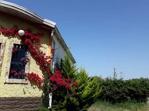 متل فرنیا
