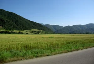 شهرک فرهنگیان