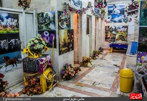 سرویس بهداشتی