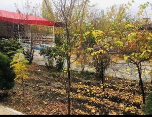 آسایشگاه سالمندان آشیان مهر 5