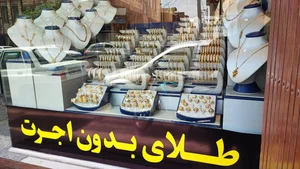 طلای مجتبی زارعی 2