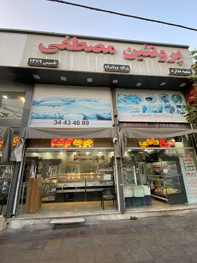 پروتئین مصطفی