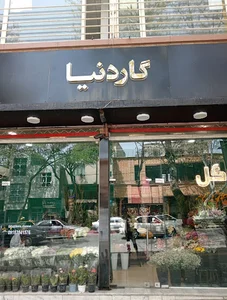 Gardenia flower store