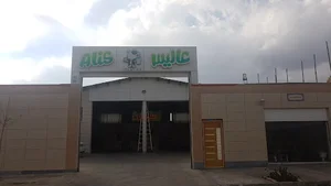 پخش عالیس