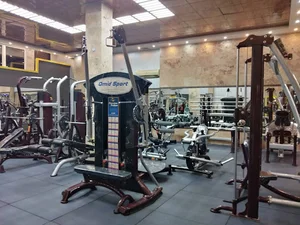 باشگاه امیرعلی